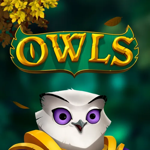 Owls Slot by Evolution NolimitCity